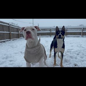 Meet your Posher, Bernard